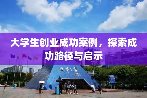 大学生创业成功案例，探索成功路径与启示