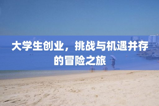 大学生创业，挑战与机遇并存的冒险之旅