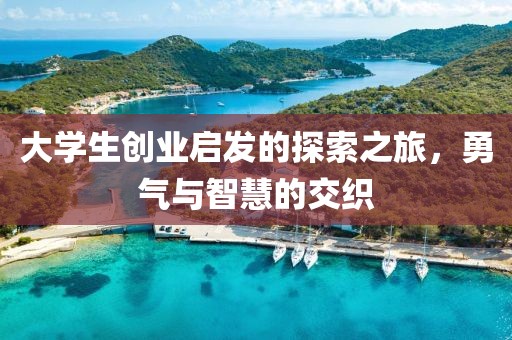 大学生创业启发的探索之旅，勇气与智慧的交织