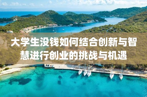 大学生没钱如何结合创新与智慧进行创业的挑战与机遇