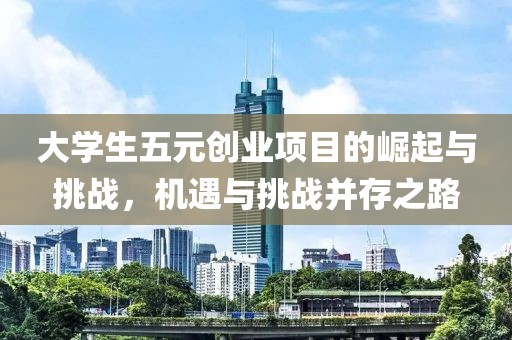 大学生五元创业项目的崛起与挑战，机遇与挑战并存之路