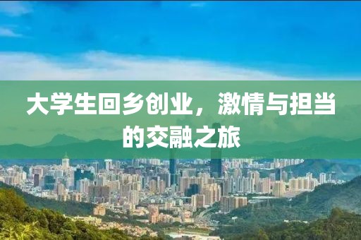 大学生回乡创业，激情与担当的交融之旅