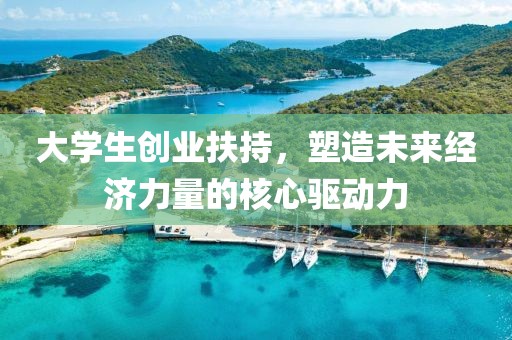 大学生创业扶持，塑造未来经济力量的核心驱动力