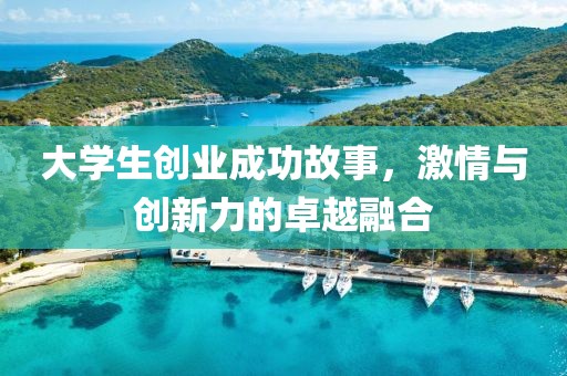 大学生创业成功故事，激情与创新力的卓越融合