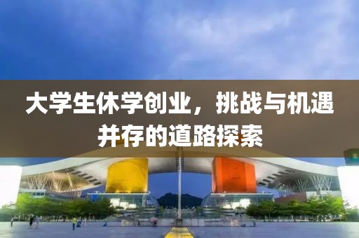 大学生休学创业，挑战与机遇并存的道路探索