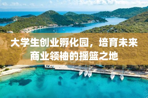 大学生创业孵化园，培育未来商业领袖的摇篮之地