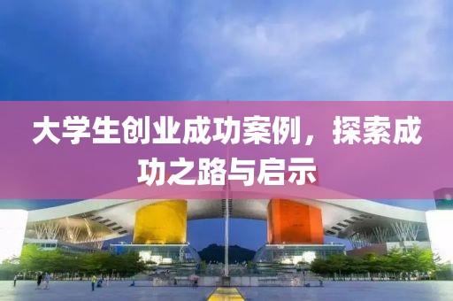 大学生创业成功案例，探索成功之路与启示