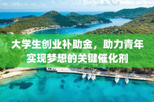 大学生创业补助金，助力青年实现梦想的关键催化剂