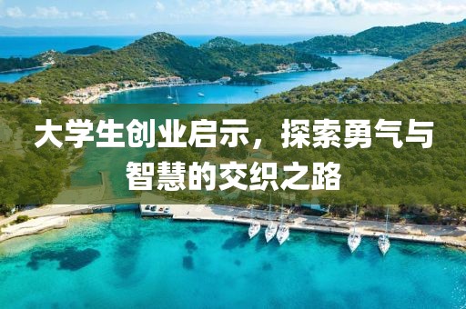 大学生创业启示，探索勇气与智慧的交织之路