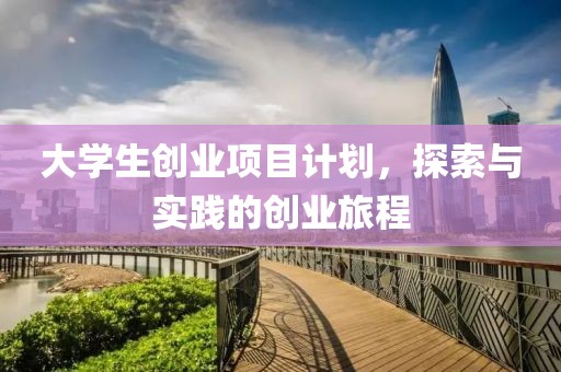 大学生创业项目计划，探索与实践的创业旅程