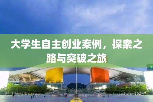 大学生自主创业案例，探索之路与突破之旅