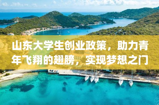 山东大学生创业政策，助力青年飞翔的翅膀，实现梦想之门