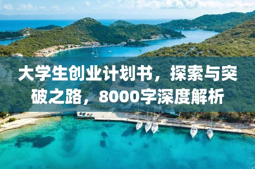 大学生创业计划书，探索与突破之路，8000字深度解析