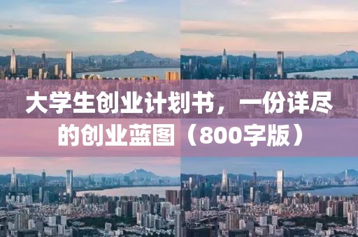 大学生创业计划书，一份详尽的创业蓝图（800字版）