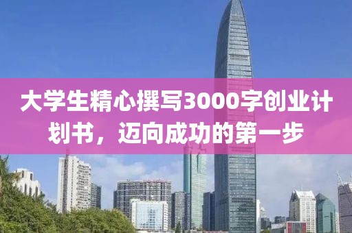 大学生精心撰写3000字创业计划书，迈向成功的第一步