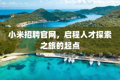 小米招聘官网，启程人才探索之旅的起点