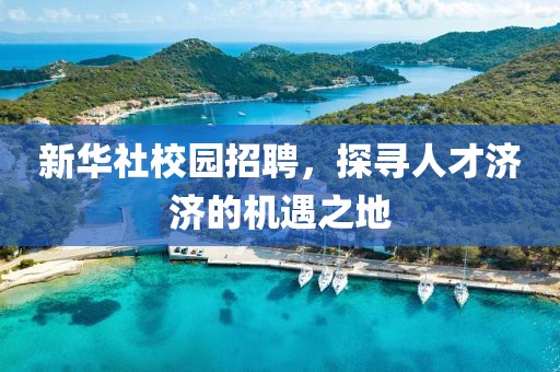 新华社校园招聘，探寻人才济济的机遇之地