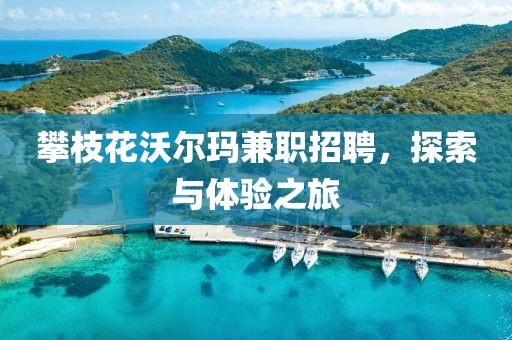 攀枝花沃尔玛兼职招聘，探索与体验之旅