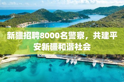 新疆招聘8000名警察，共建平安新疆和谐社会