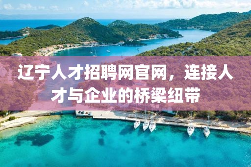 辽宁人才招聘网官网，连接人才与企业的桥梁纽带