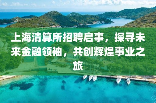 上海清算所招聘启事，探寻未来金融领袖，共创辉煌事业之旅