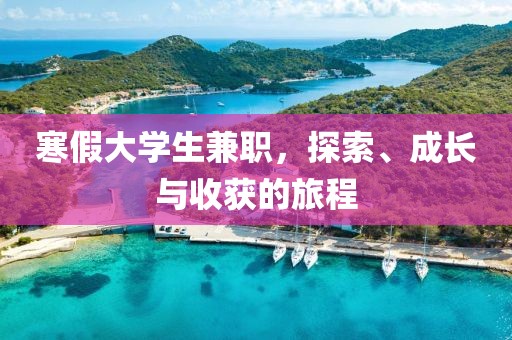 寒假大学生兼职，探索、成长与收获的旅程