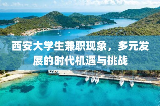 西安大学生兼职现象，多元发展的时代机遇与挑战