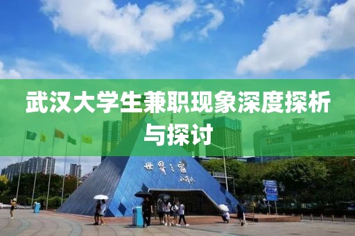 武汉大学生兼职现象深度探析与探讨