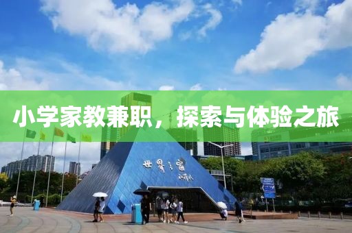 小学家教兼职，探索与体验之旅