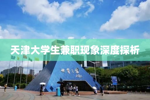 天津大学生兼职现象深度探析