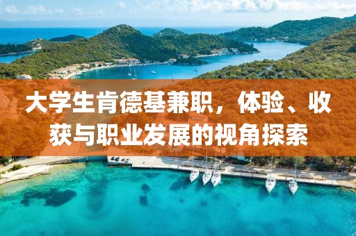 大学生肯德基兼职，体验、收获与职业发展的视角探索