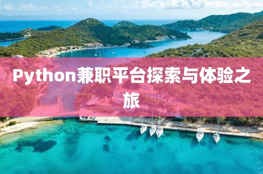 Python兼职平台探索与体验之旅