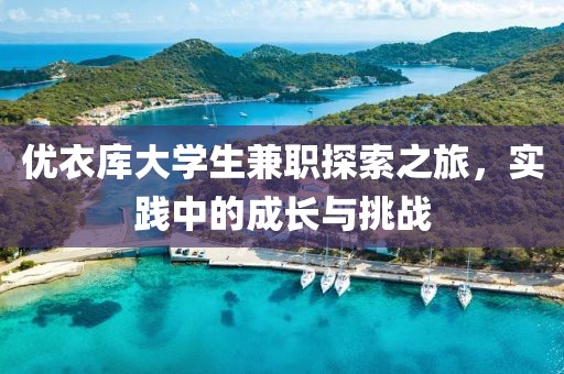 优衣库大学生兼职探索之旅，实践中的成长与挑战