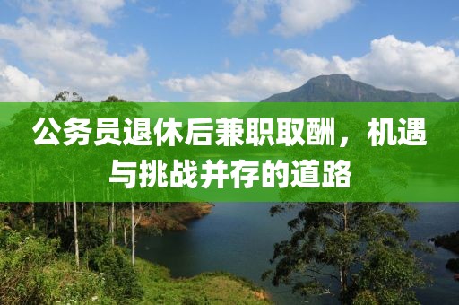 公务员退休后兼职取酬，机遇与挑战并存的道路