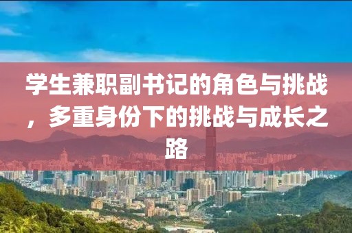 学生兼职副书记的角色与挑战，多重身份下的挑战与成长之路