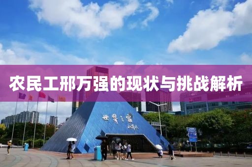 农民工邢万强的现状与挑战解析