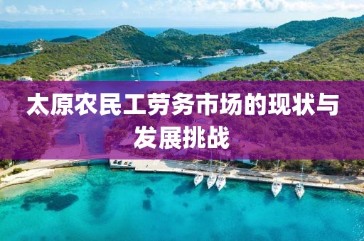 太原农民工劳务市场的现状与发展挑战