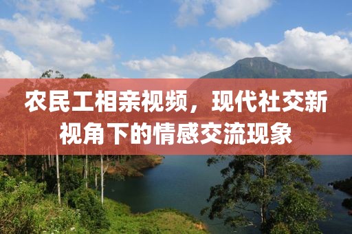 农民工相亲视频，现代社交新视角下的情感交流现象