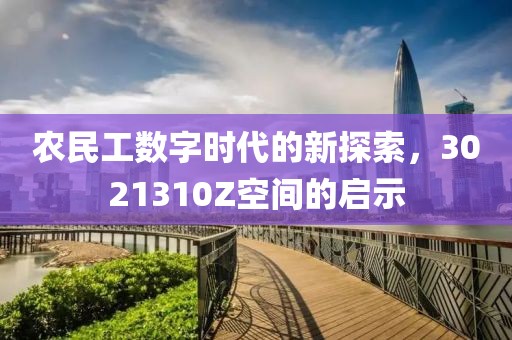 农民工数字时代的新探索，3021310Z空间的启示