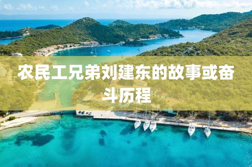 农民工兄弟刘建东的故事或奋斗历程